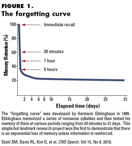 ebbinghaus forgetting curve radedasia