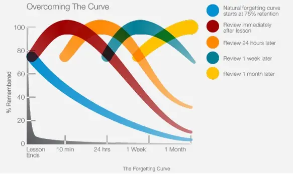 ebbinghaus learning curve radedasia