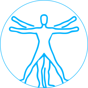 anatomy icon radedasia