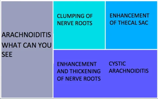 arachnoiditis mri