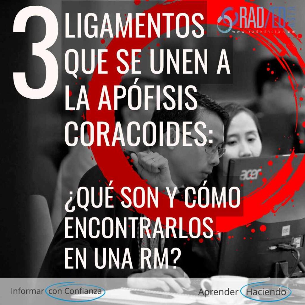 ligamentos unidos a la apófisis coracoides mri hombro