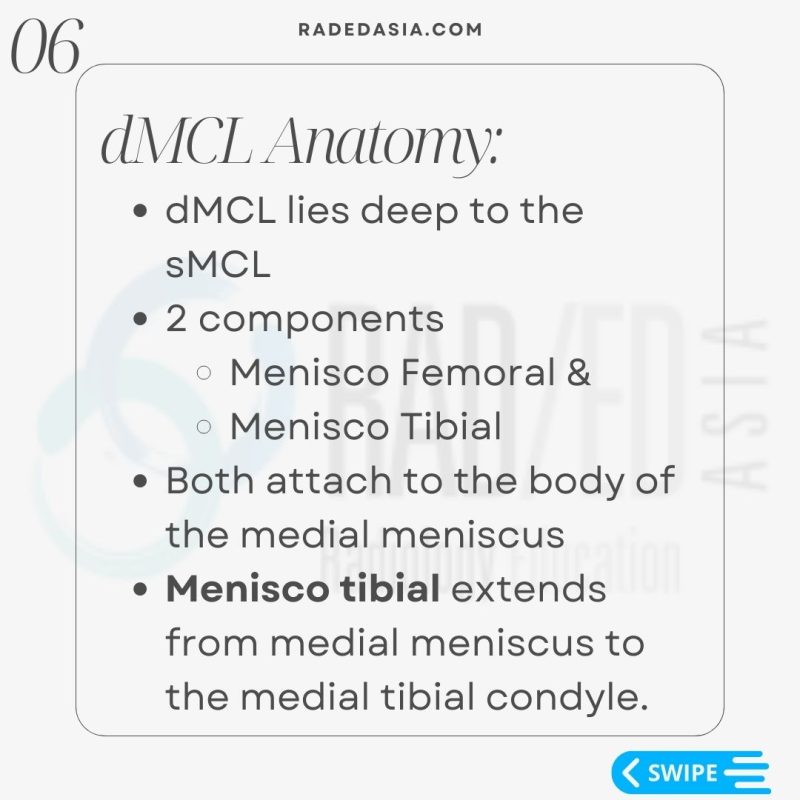 knee-msk-mri-musculoskeletal-deep-mcl-meniscotibial-ligament-tear-dmcl.jpg